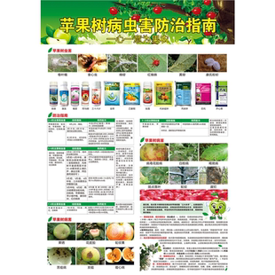 苹果树病虫害防治指南海报苹果梨樱桃枣等北方果树病虫害防治图谱