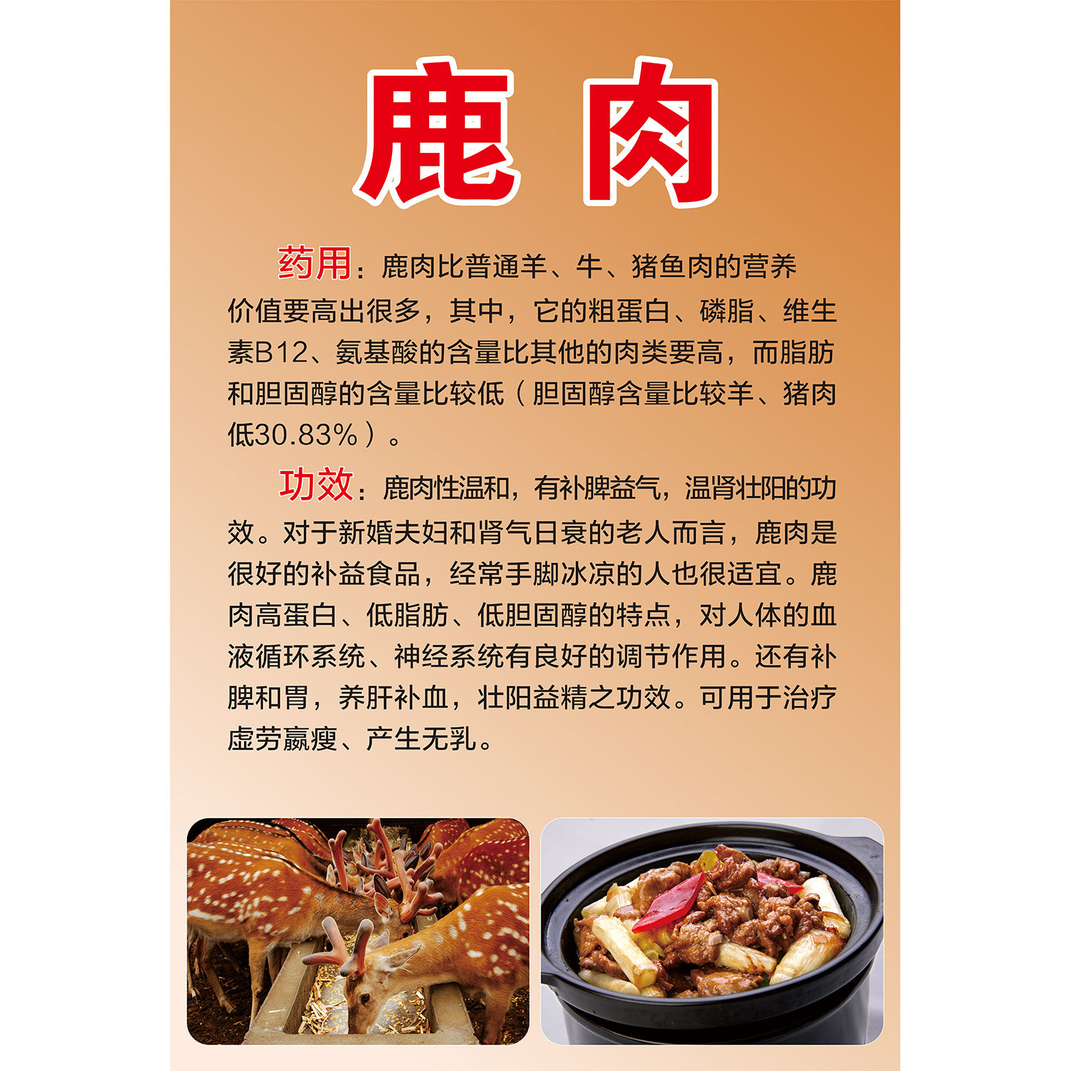 鹿肉海报展板滋补鹿肉锅曾经帝王餐上宴如今走进百姓家墙贴墙纸