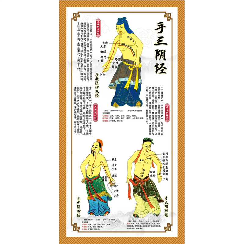 中医十二穴位图人体经络穴位图按摩大挂图解全身经脉筋络手三阴经