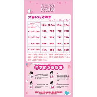 女士内衣尺码表海报展板穿戴文胸的正确方法内衣的正确穿法墙贴