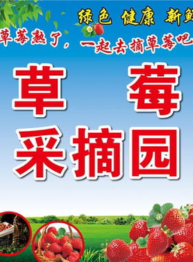 卖草莓广告布草莓采摘草莓熟了喷绘布草莓园宣传广告喷绘写真定制