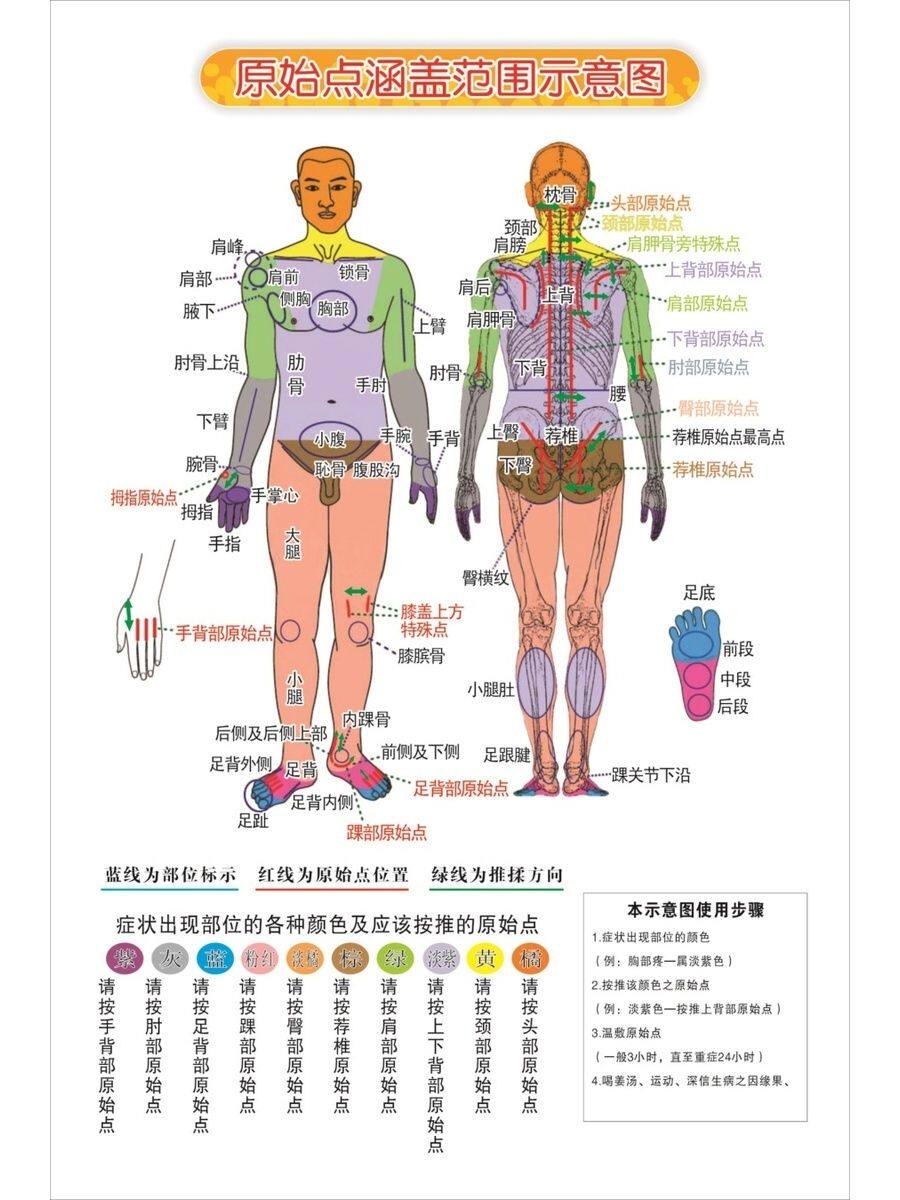 原始点涵盖范围示意图海报广告美容院养生馆装饰画广告自粘贴画
