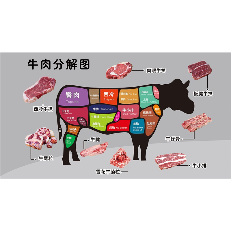 牛肉分割图海报贴纸墙贴鲜牛肉分解图壁画排酸牛肉分解图海报贴纸
