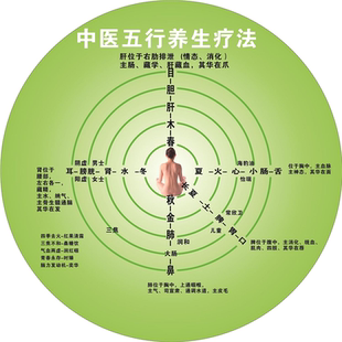 中医养生馆五行图解挂图挂画墙贴 人体五行五脏相生相克贴图海报