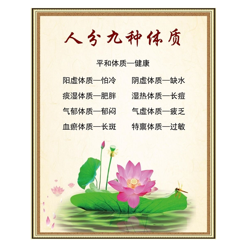 9种九种体质养生调理中医推拿经络美容院养生装饰画刮痧挂图海报,个性定制/设计服务/DIY,写真/海报印制,淘宝优惠券,粉丝福利购,淘宝优惠卷