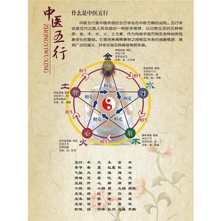 中医理疗五行图养生钟子午流注阴阳五脏图解示意图宣传海报挂画