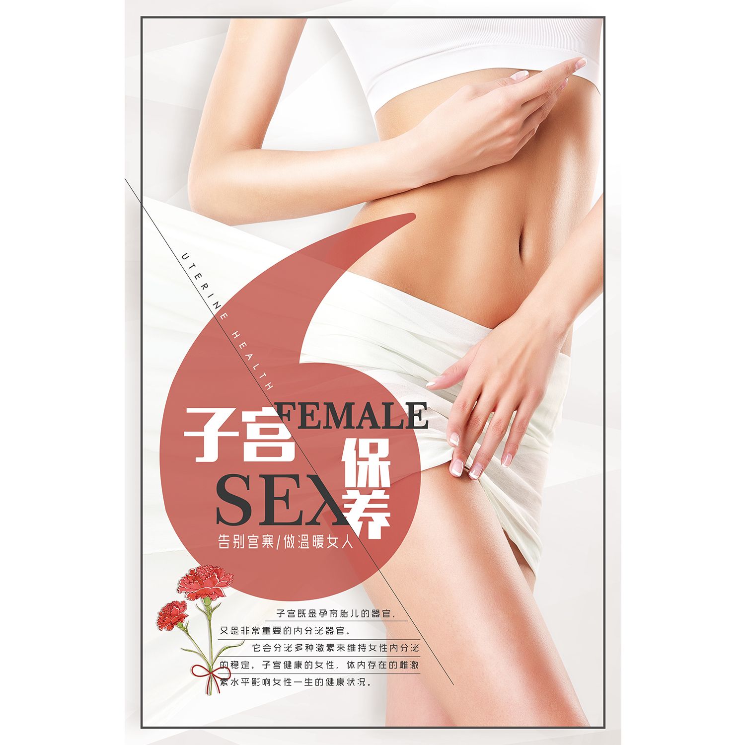 定制海报印刷素材子宫养护海报理疗馆养生馆宣传贴纸kt板挂画
