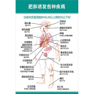 肥胖诱发各种疾病海报展板中国民平衡膳食宝塔墙贴墙纸KT板