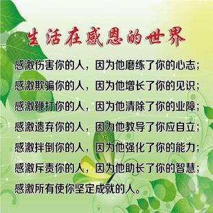 生活在感恩的世界海报展板感激坚定成就感激伤害你的人墙贴纸