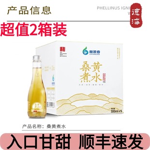 2箱林源春桑黄煮水植物饮300ml 长白山桑黄水整箱高端商务水 9瓶装