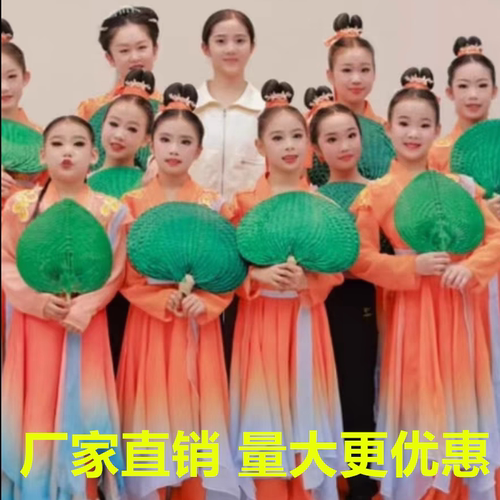 古典舞演出服越女词同款舞蹈服