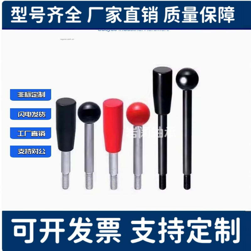 固定握柄把手LBGS/LBG6/8/10/12-63/80-100/125/160/200-R/B