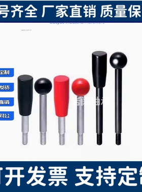 固定握柄把手LBGS/LBG6/8/10/12-63/80-100/125/160/200-R/B