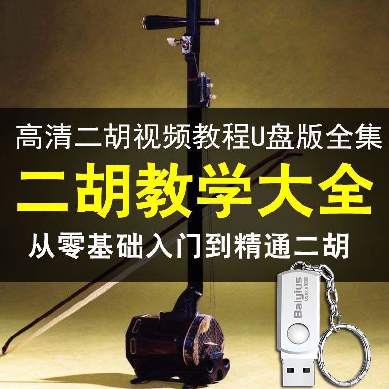 二胡视频教程U盘64G名师讲解刻录盘个性化服务