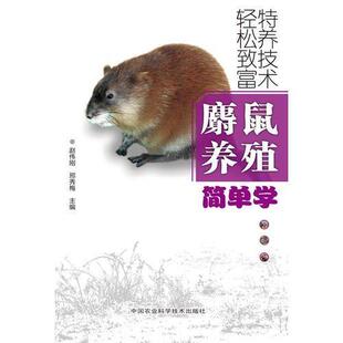 正版麝鼠养殖简单学