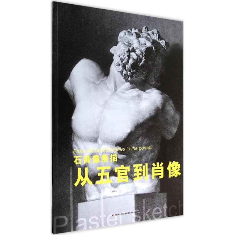 正版石膏像素描从五官到肖像