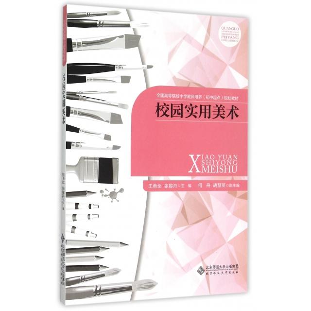 正版校园实用美术(全国高等院校小学教师培养初中起点规划教材)