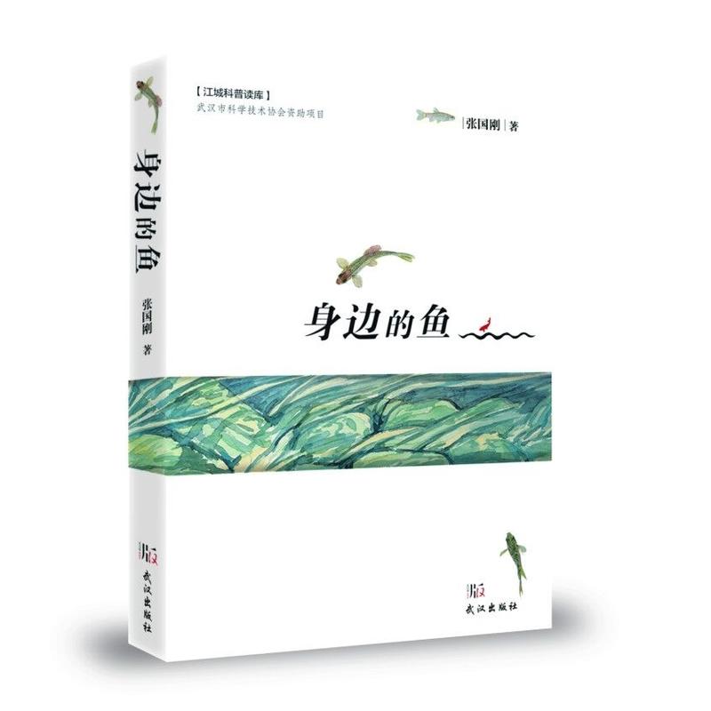 正版身边的鱼