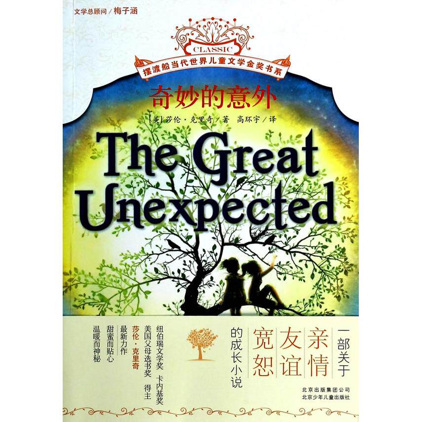 正版奇妙的意外