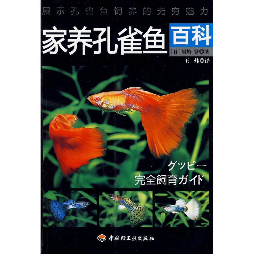 正版家养孔雀鱼百科