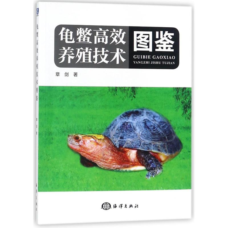 正版龟鳖养殖技术图鉴