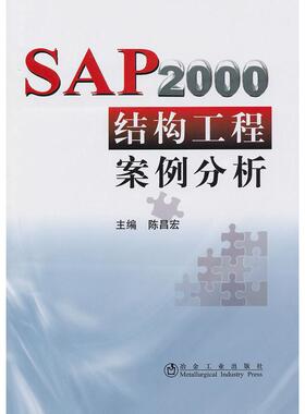 SAP2000结构工程案例分析正版