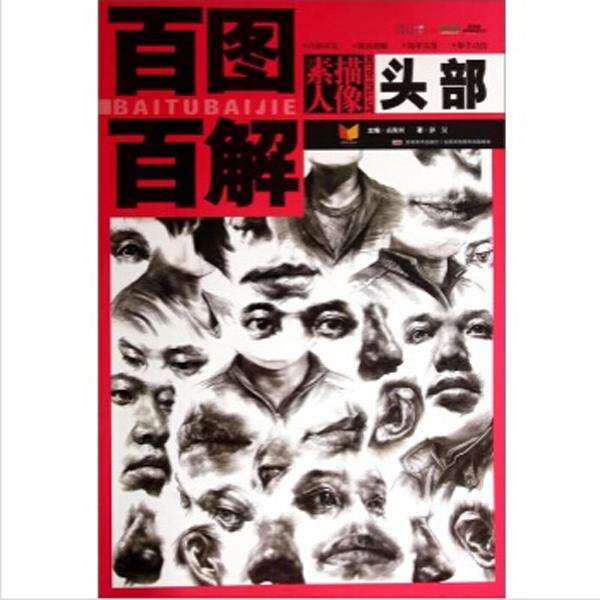 正版头部-素描头像-百图百解