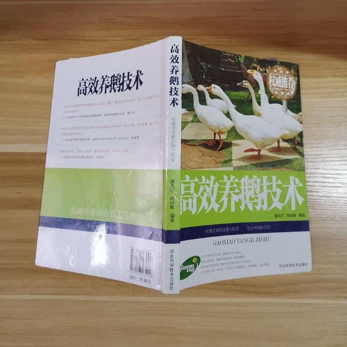 正版养鹅技术