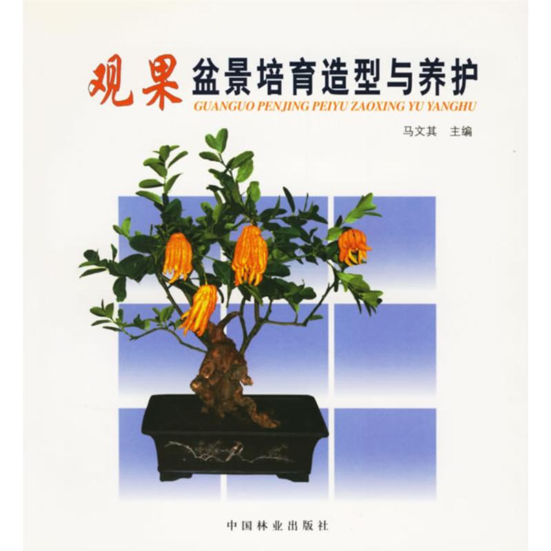 正版观果盆景培育造型与养护