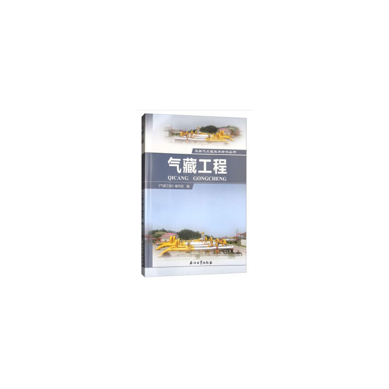 正版气藏工程