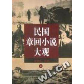 正版民国章回小说大观.(二)