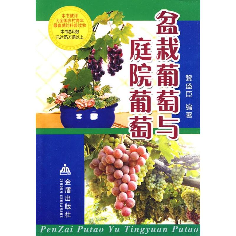 正版盆栽葡萄与庭院葡萄