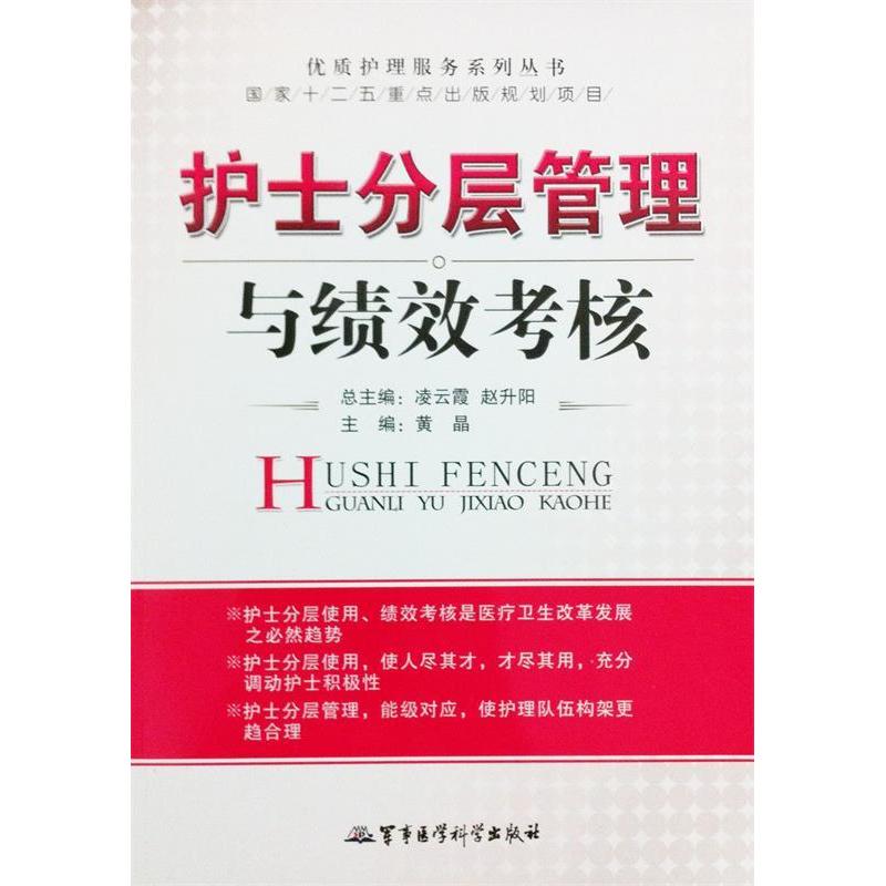 正版护士分层管理与绩效考核——优质护理服务系列丛书