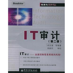 正版IT审计(第2版)