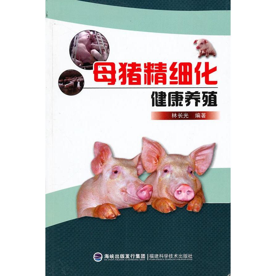 正版母猪精细化健康养殖