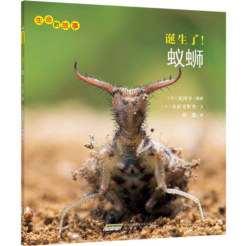 正版诞生了!蚁蛳
