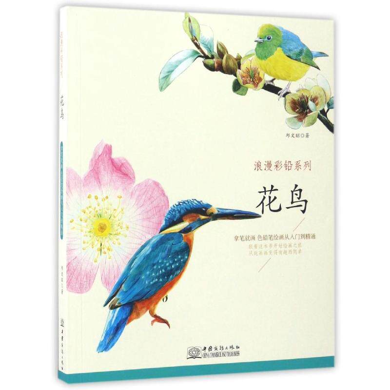 正版浪漫彩铅系列:拿笔就画 色铅笔绘画从入门到精通:花鸟