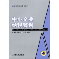 中小企业纳税筹划/新纳税实务操作系列正版