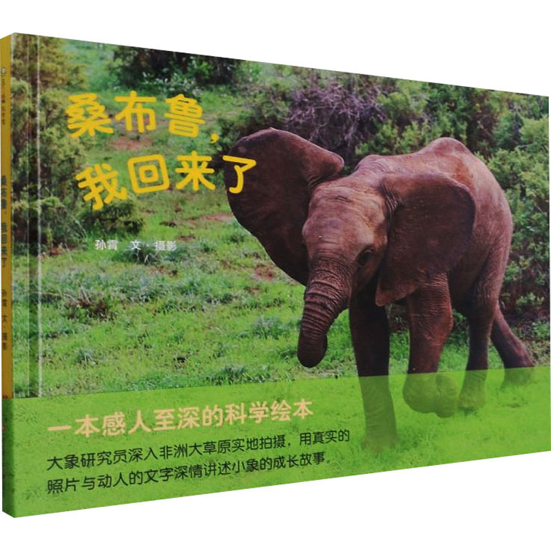 正版桑布鲁,我回来了