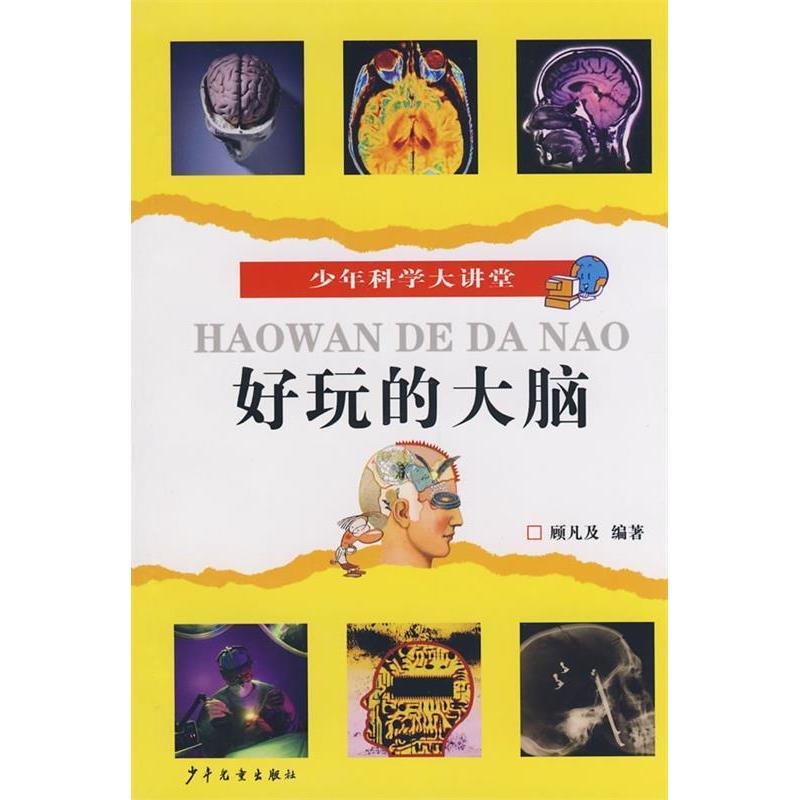 正版少年科学大讲堂好玩的大脑