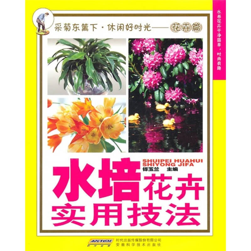 正版水培花卉实用技法