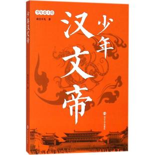 少年汉文帝正版