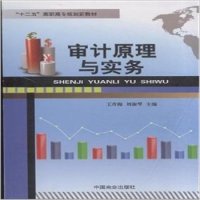 正版审计原理与实务