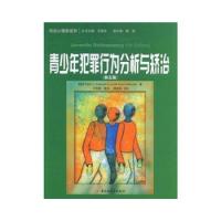 正版青少年犯罪行为分析与矫治--司法心理学系列
