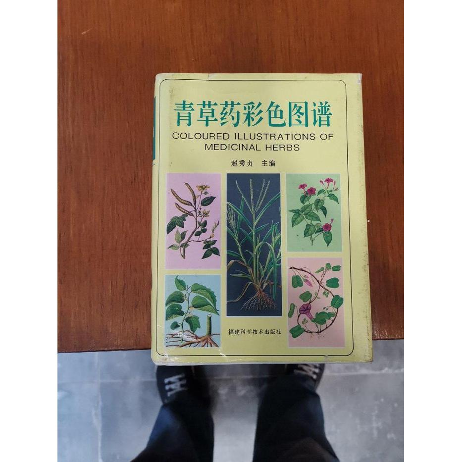 正版青草药彩色图谱(精)