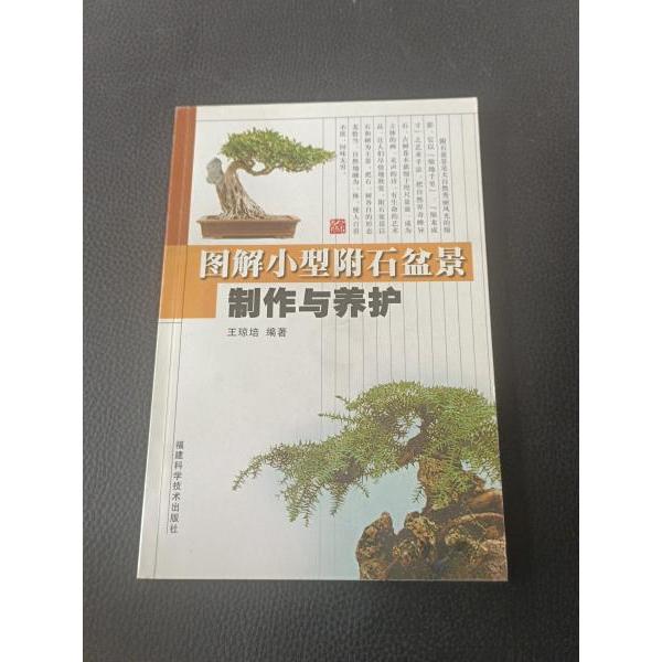 正版图解小型附石盆景制作与养护