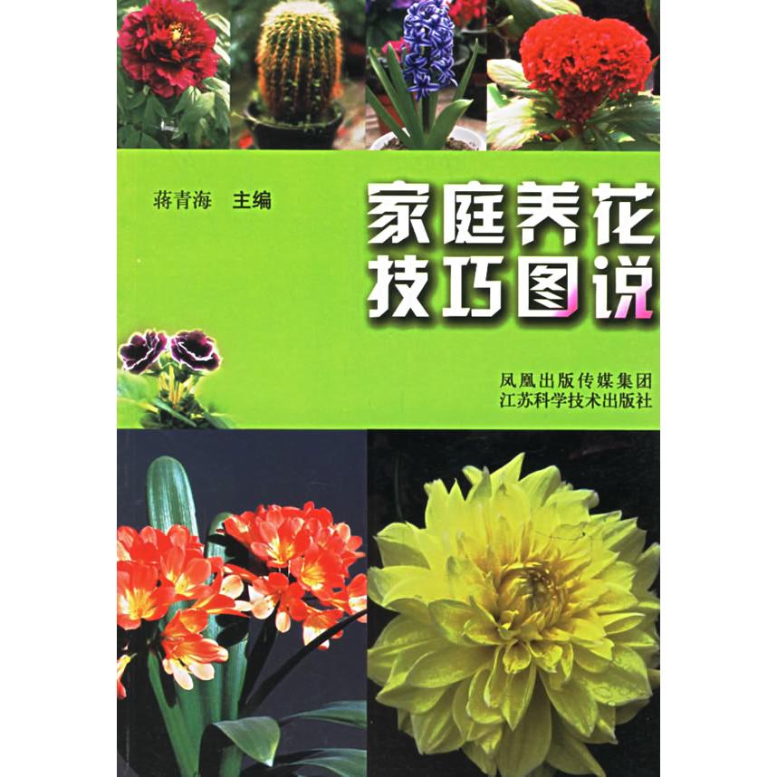 正版家庭养花技巧图说