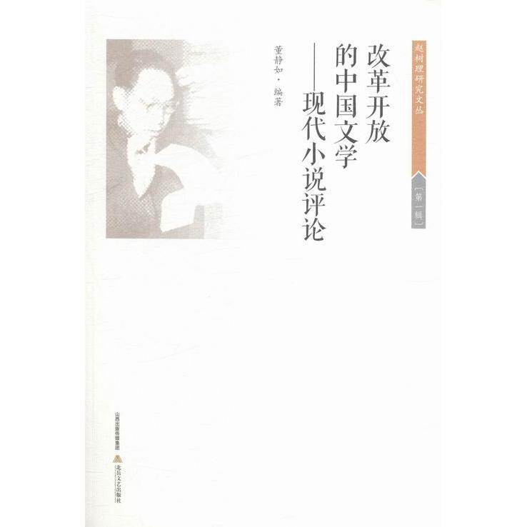 正版改革开放的中国文学:现代小说评论