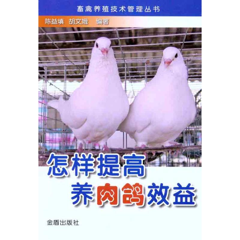 正版怎样提高养肉鸽效益