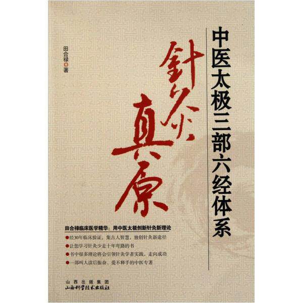 正版中医太极三部六经体系:针灸真原